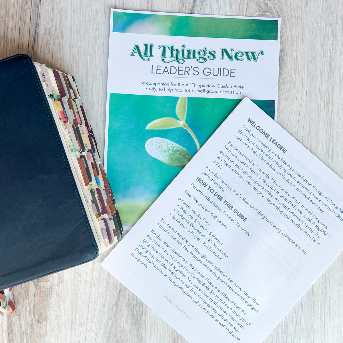 Group Leader Guide All Things New Small Group Leader Guide – Saving Grace Print Shop