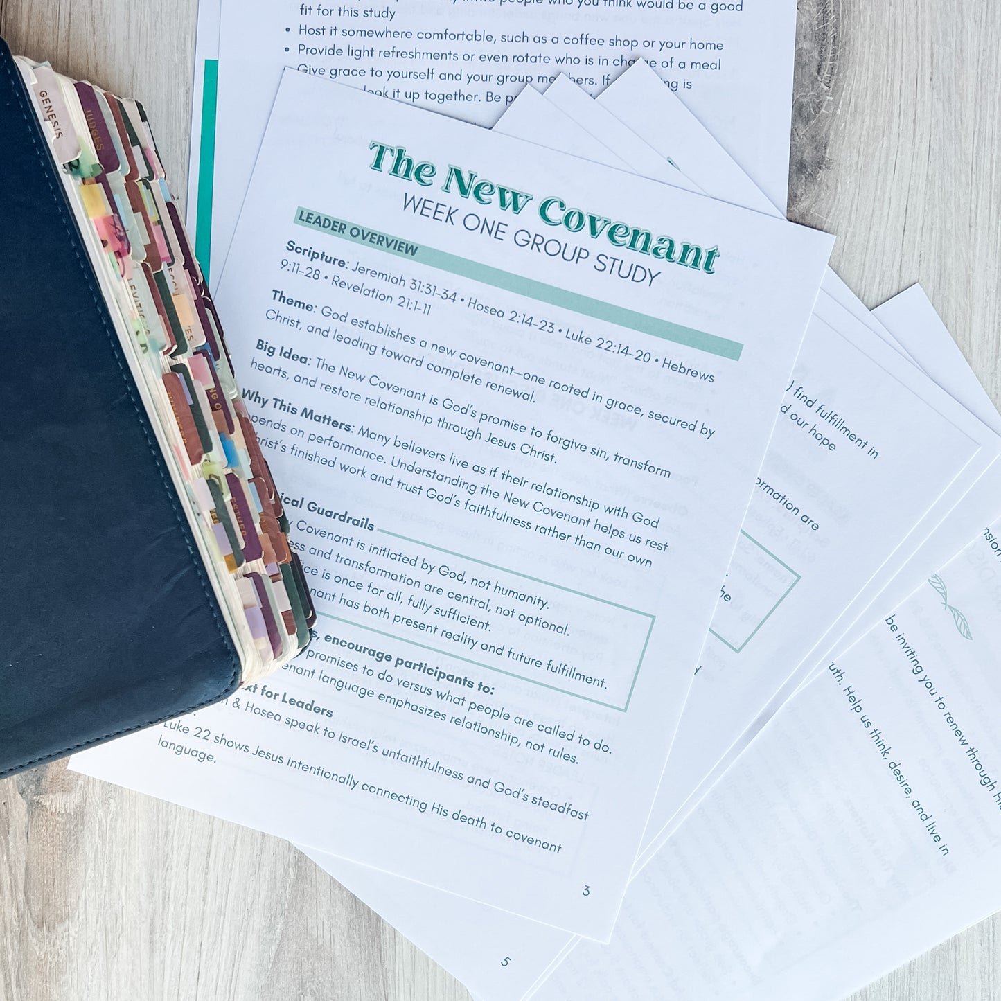 All Things New Small Group Leader Guide