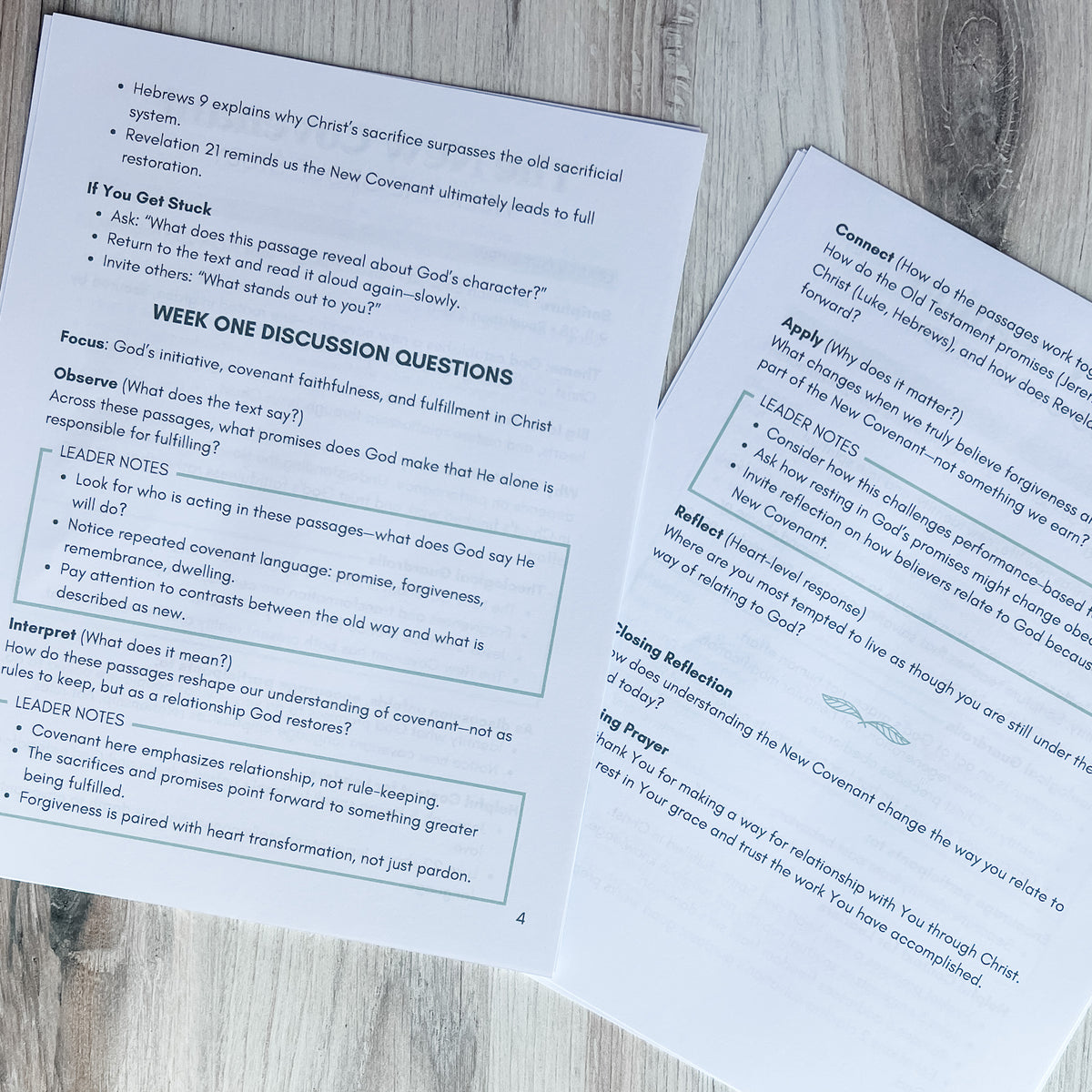 Group Leader Guide All Things New Small Group Leader Guide – Saving Grace Print Shop