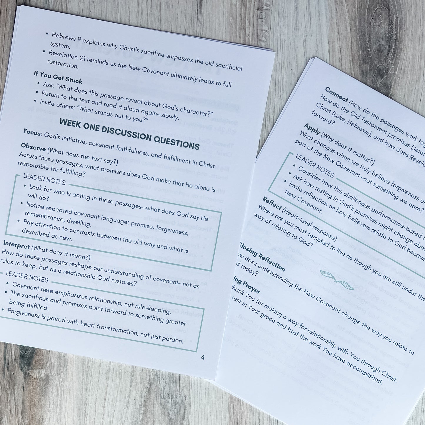 All Things New Small Group Leader Guide