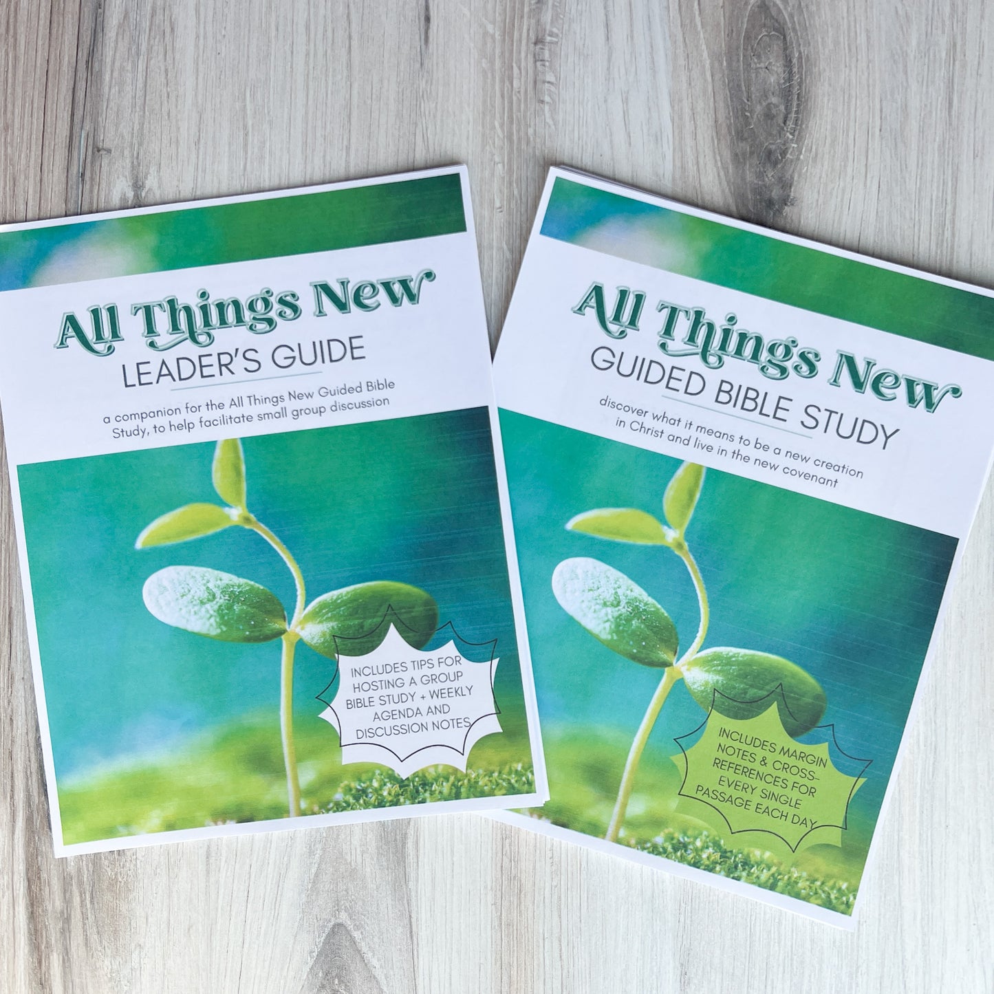 All Things New Guided Study