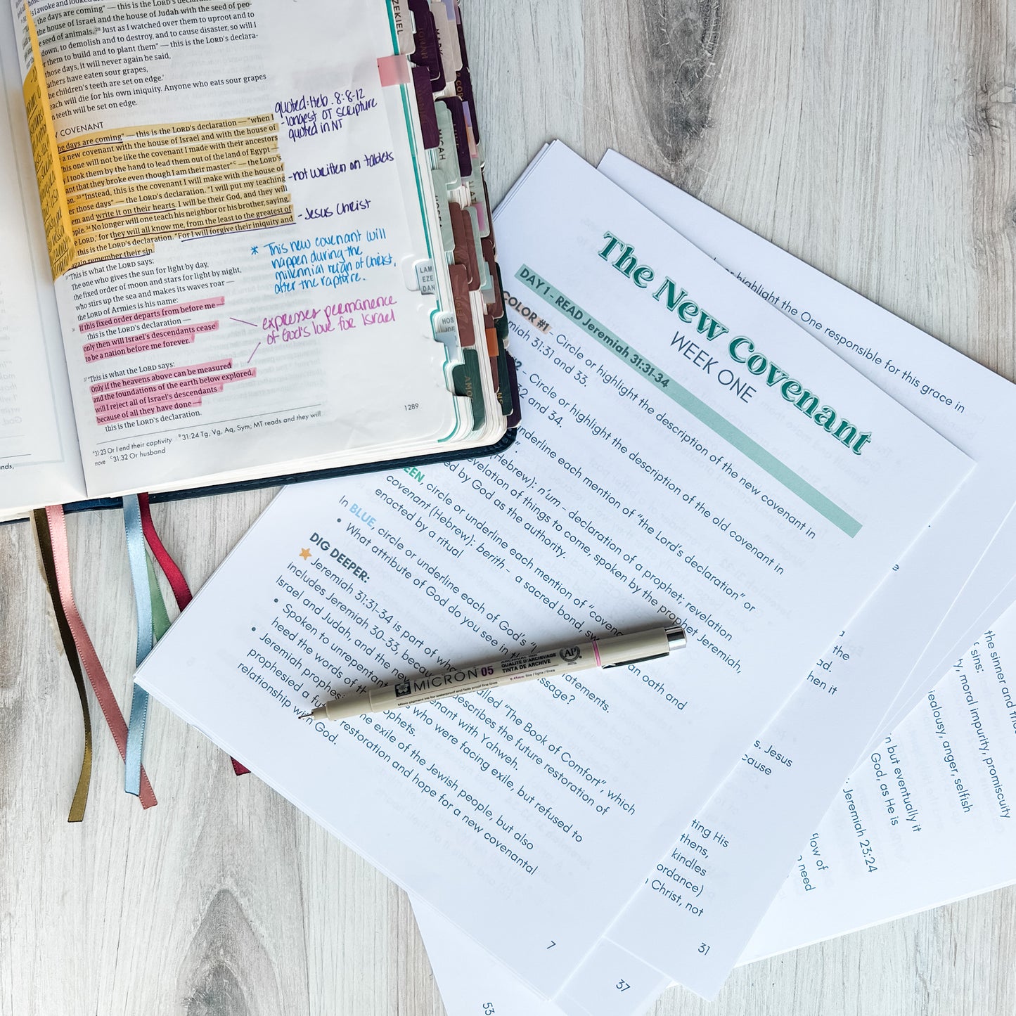 All Things New Guided Study