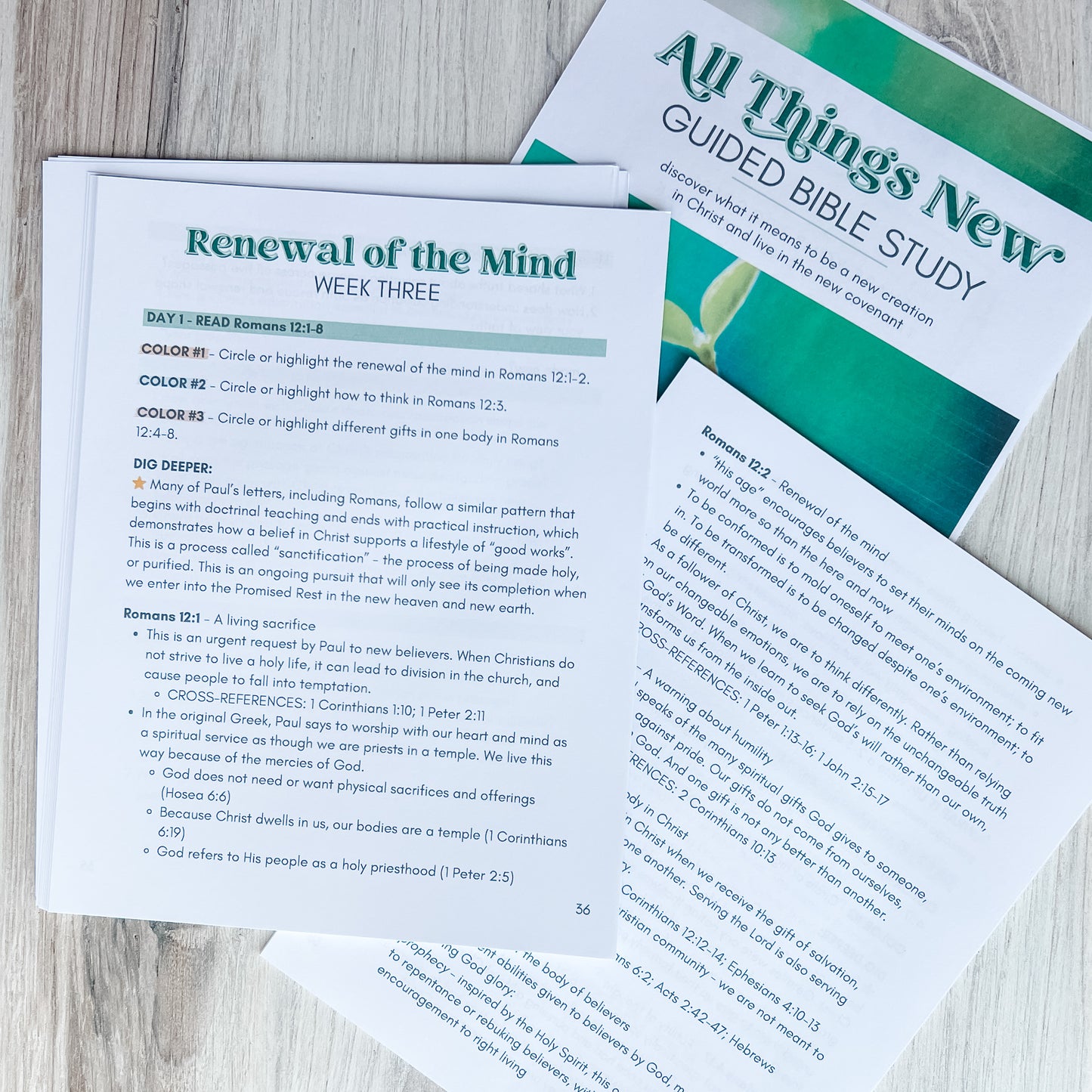 All Things New Guided Study