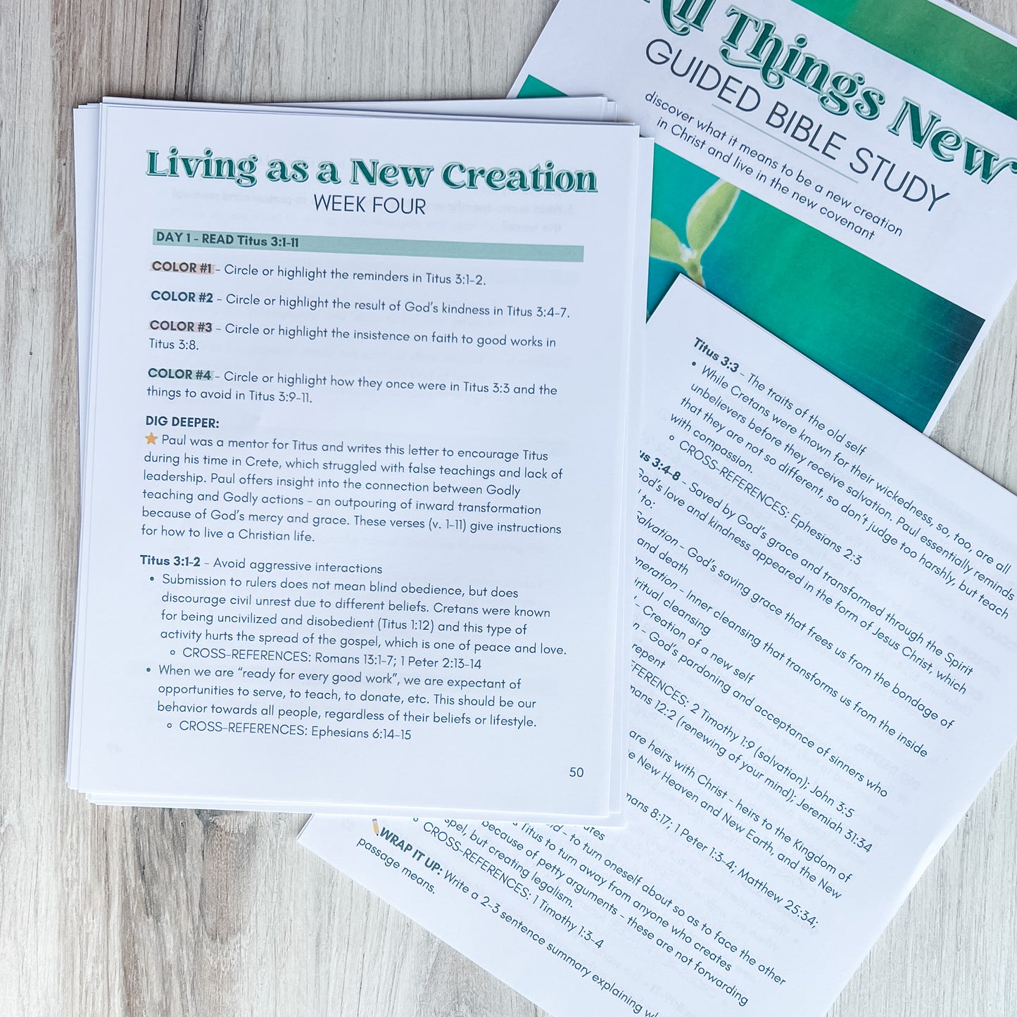 All Things New Guided Study