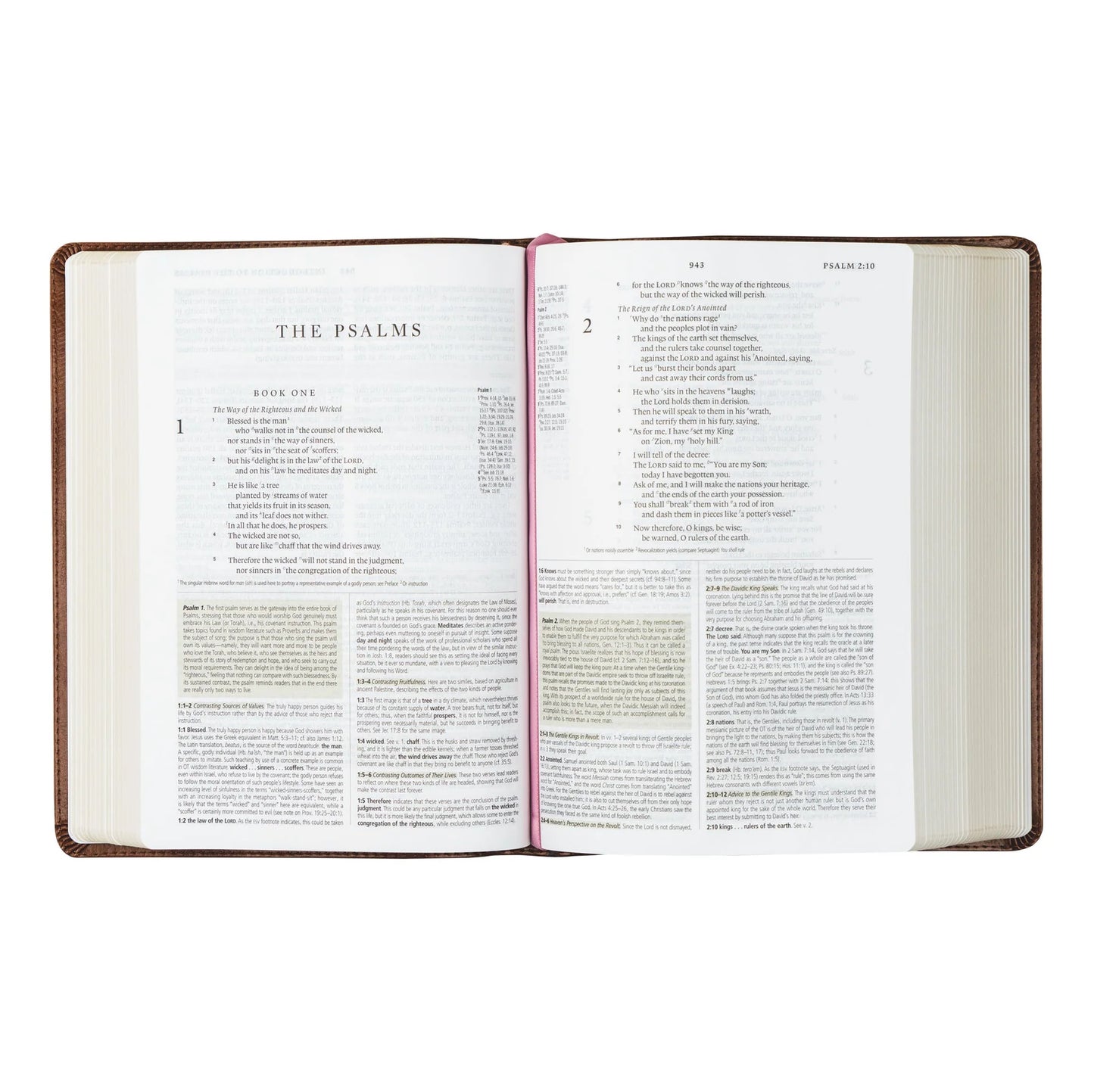 Hosanna Revival ESV Aurora Study Bible