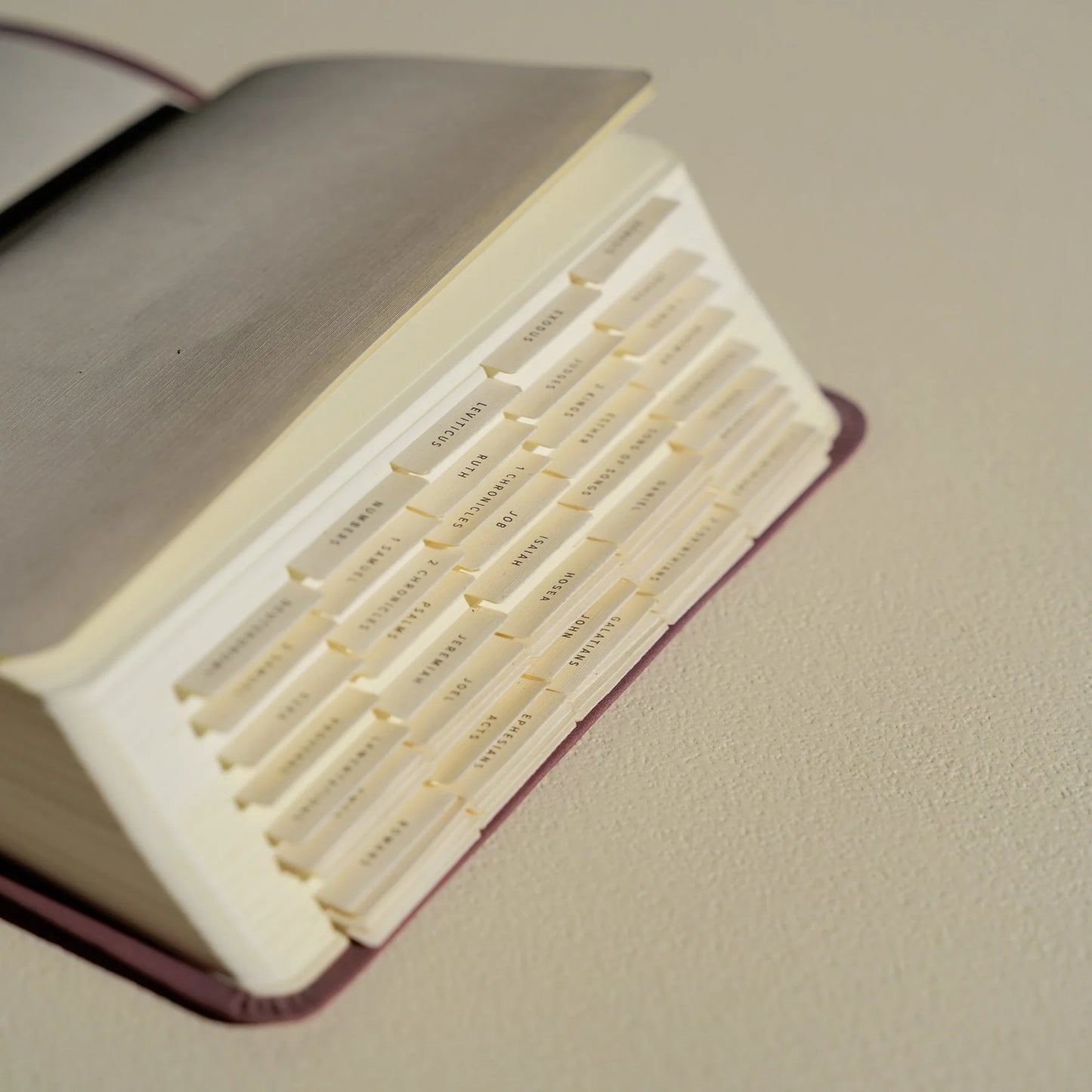 Hosanna Revival Bible Tabs, Black