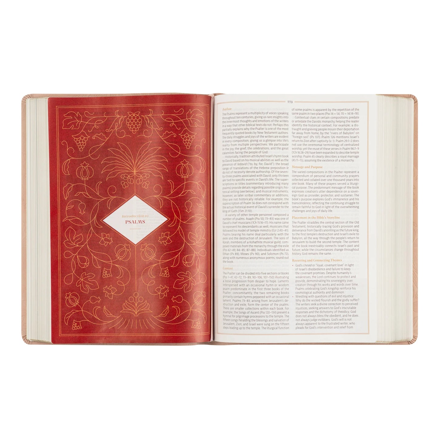 Hosanna Revival CSB Women's Study Bible: Sonora Theme