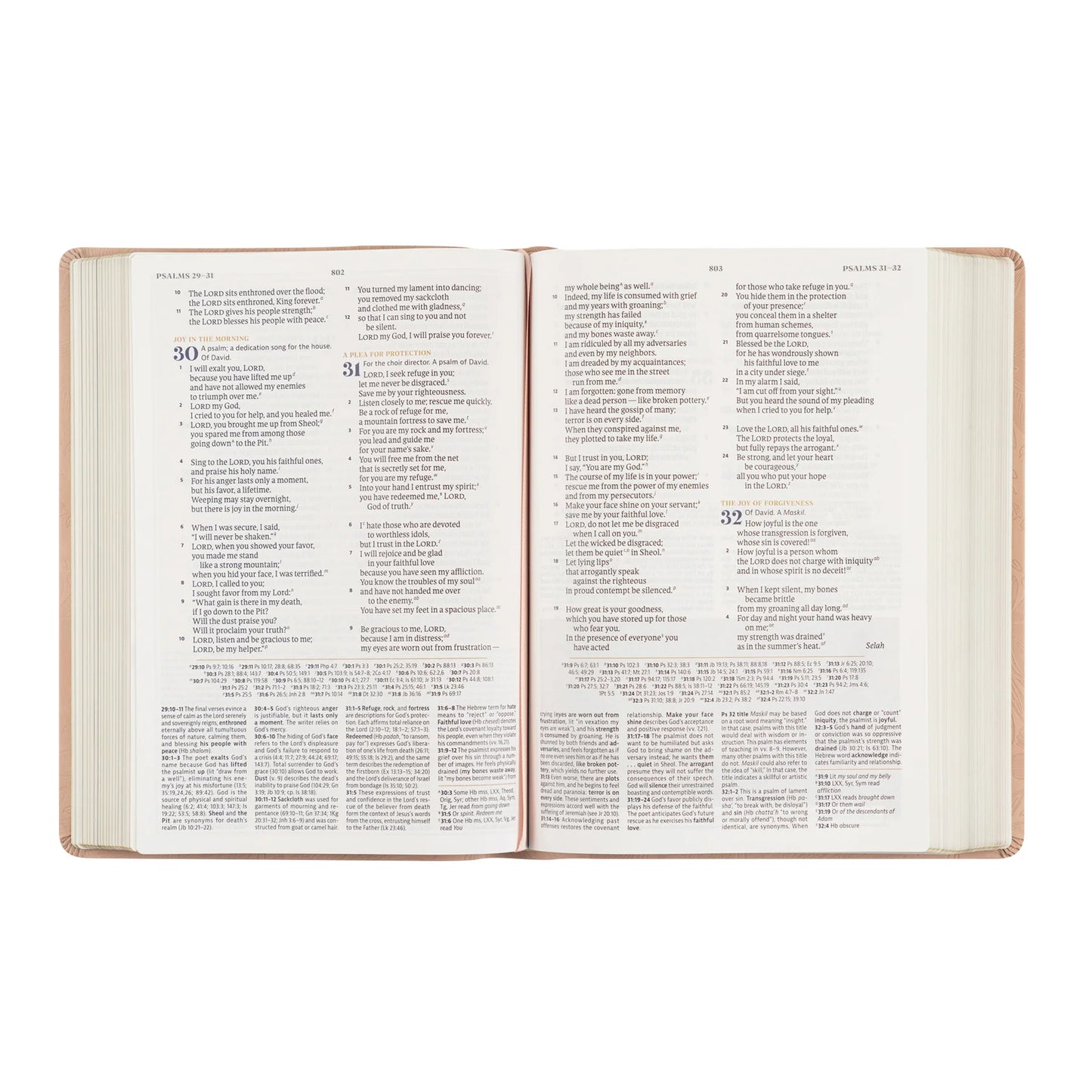 Hosanna Revival CSB Women's Study Bible: Sonora Theme