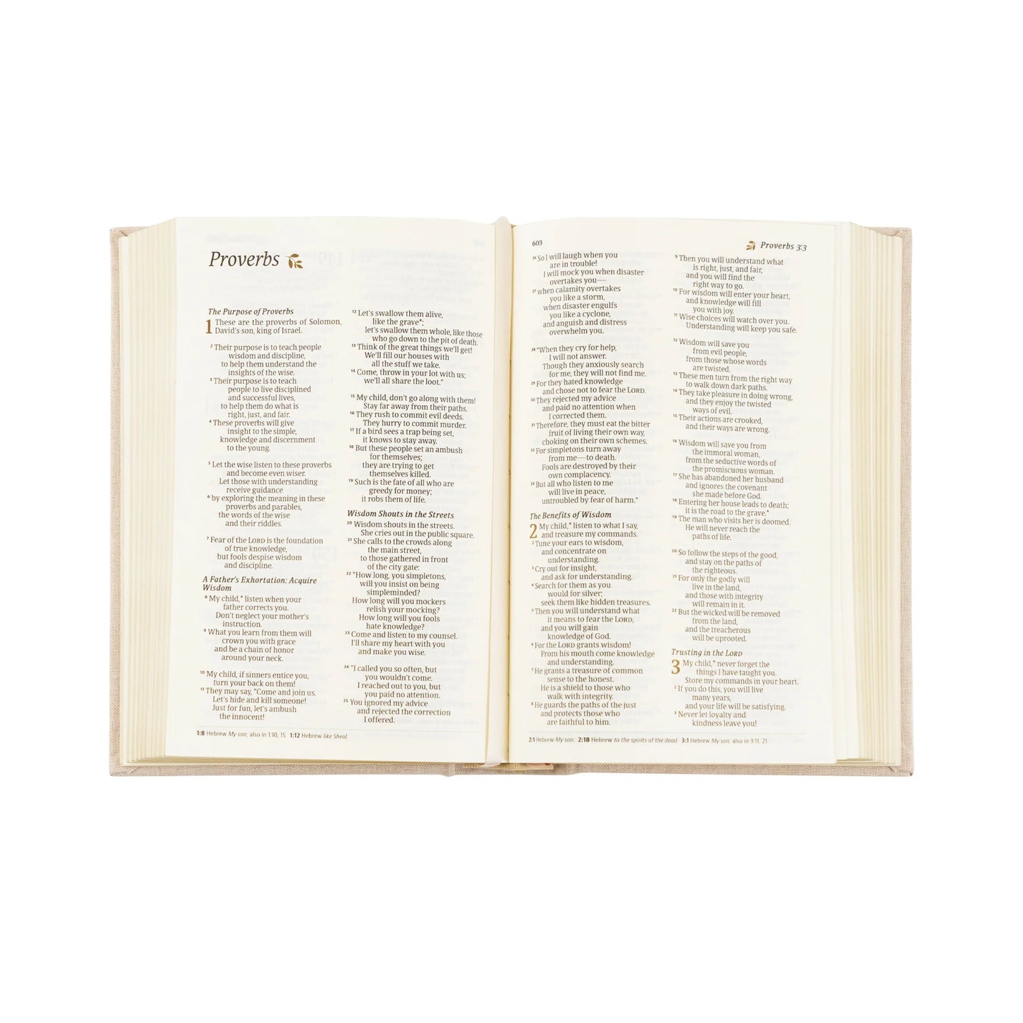 Hosanna Revival NLT Compact Bible: Casablanca Theme