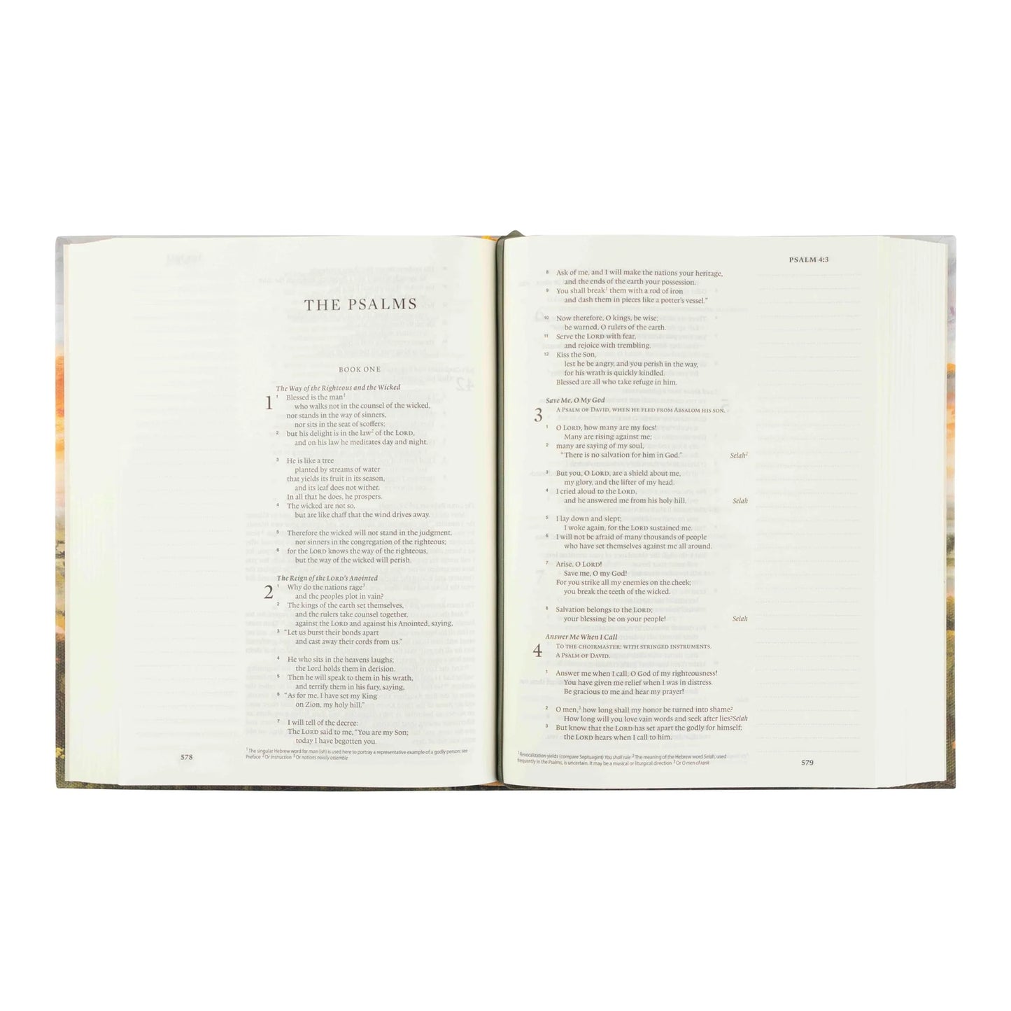 Hosanna Revival ESV Journaling Bible: Florence Theme