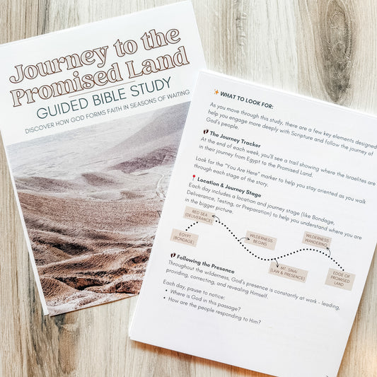 Journey to the Promised Land Guided Bible Study