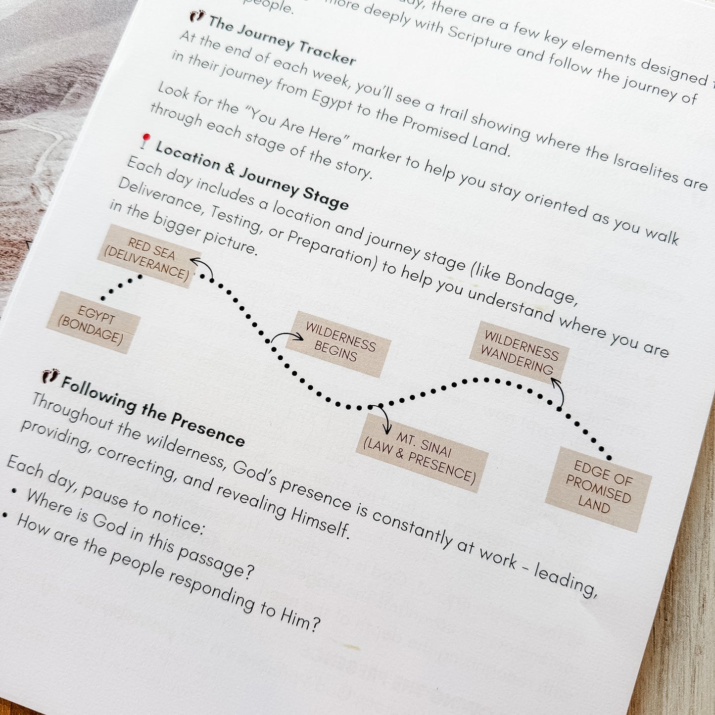 Journey to the Promised Land Guided Bible Study