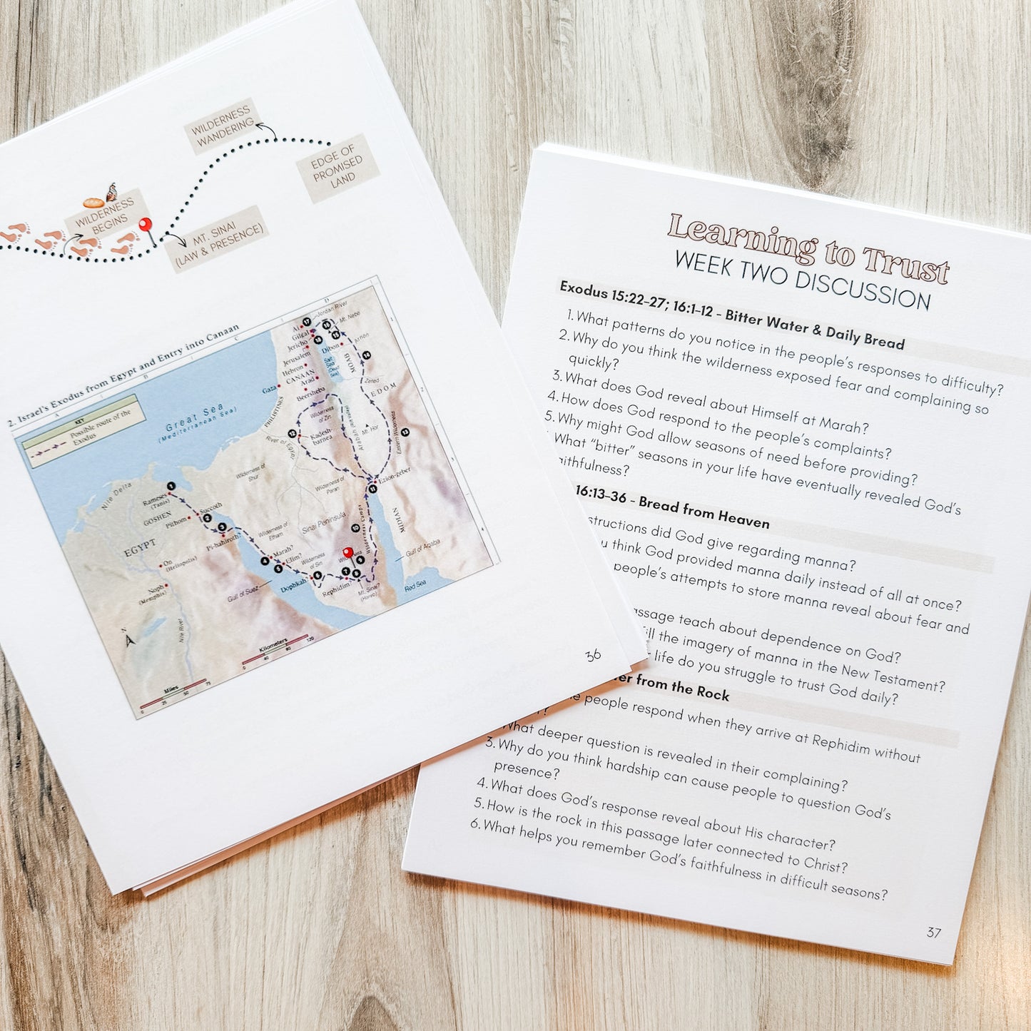Journey to the Promised Land Guided Bible Study