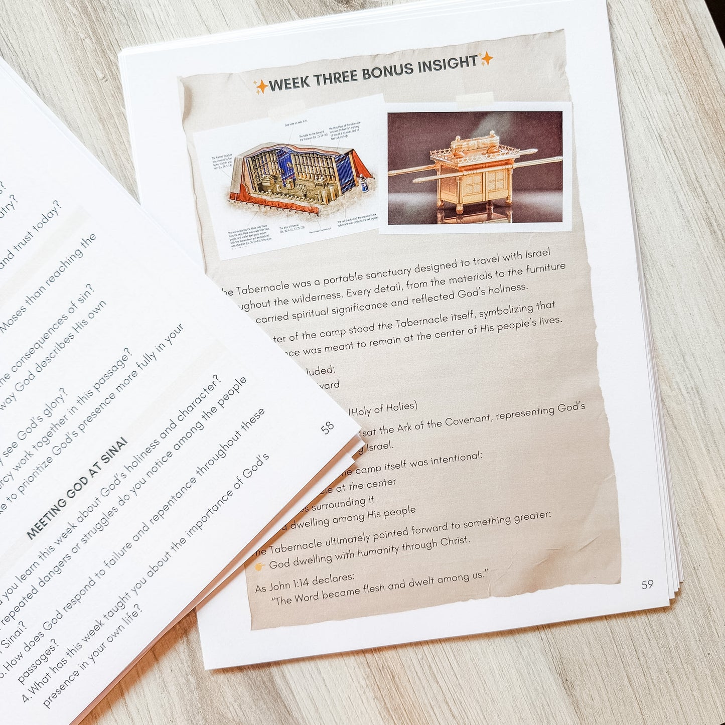 Journey to the Promised Land Guided Bible Study