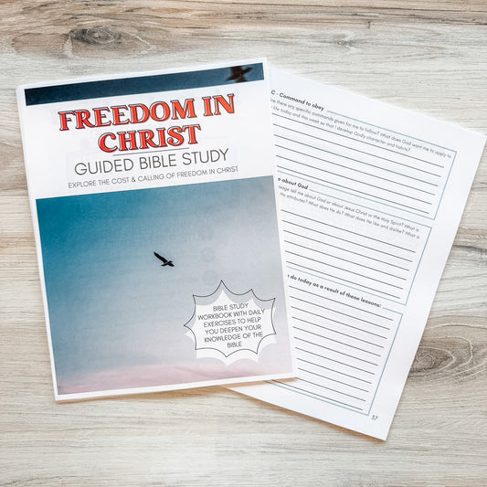 Freedom in Christ Guided Bible Study
