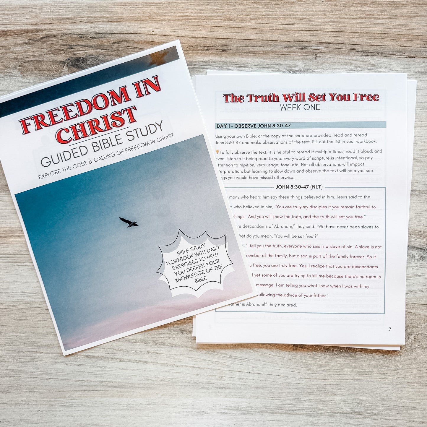 Freedom in Christ Guided Bible Study