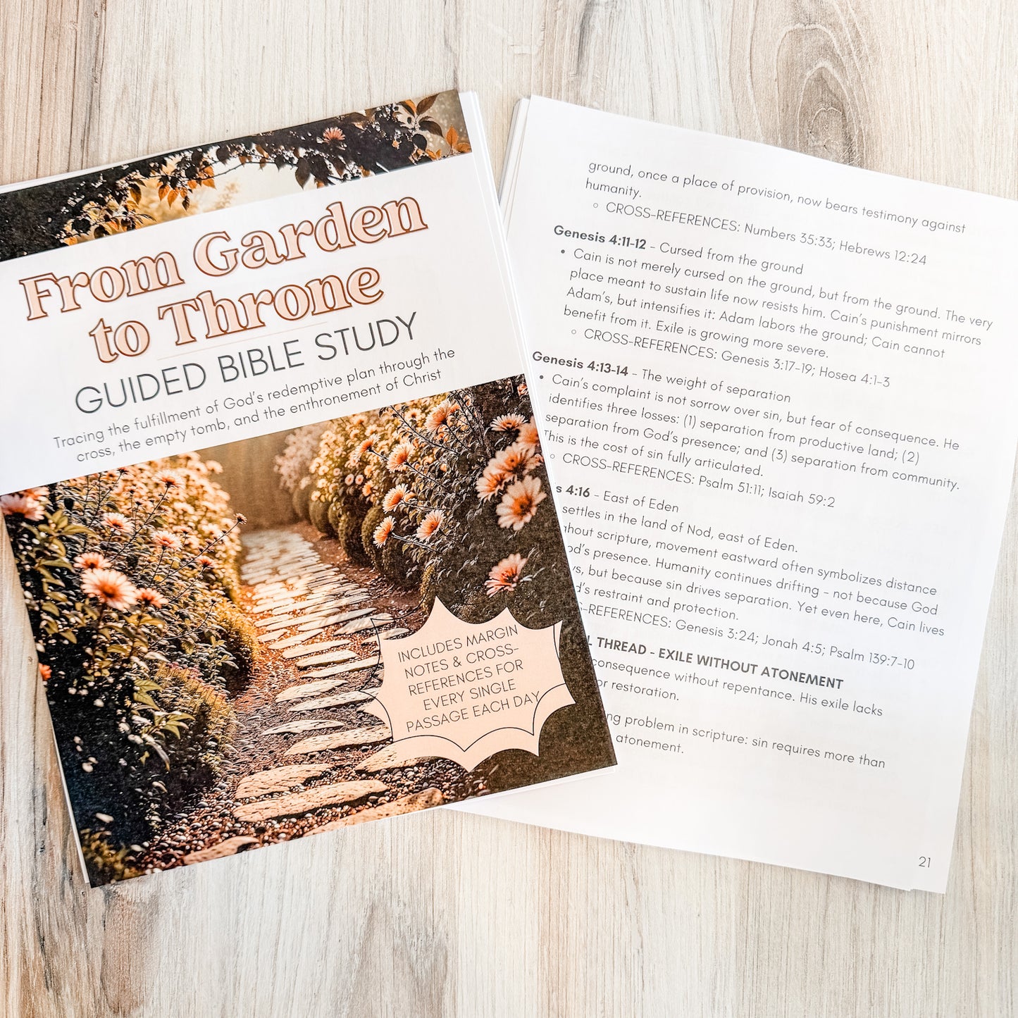From Garden to Throne Guided Bible Study