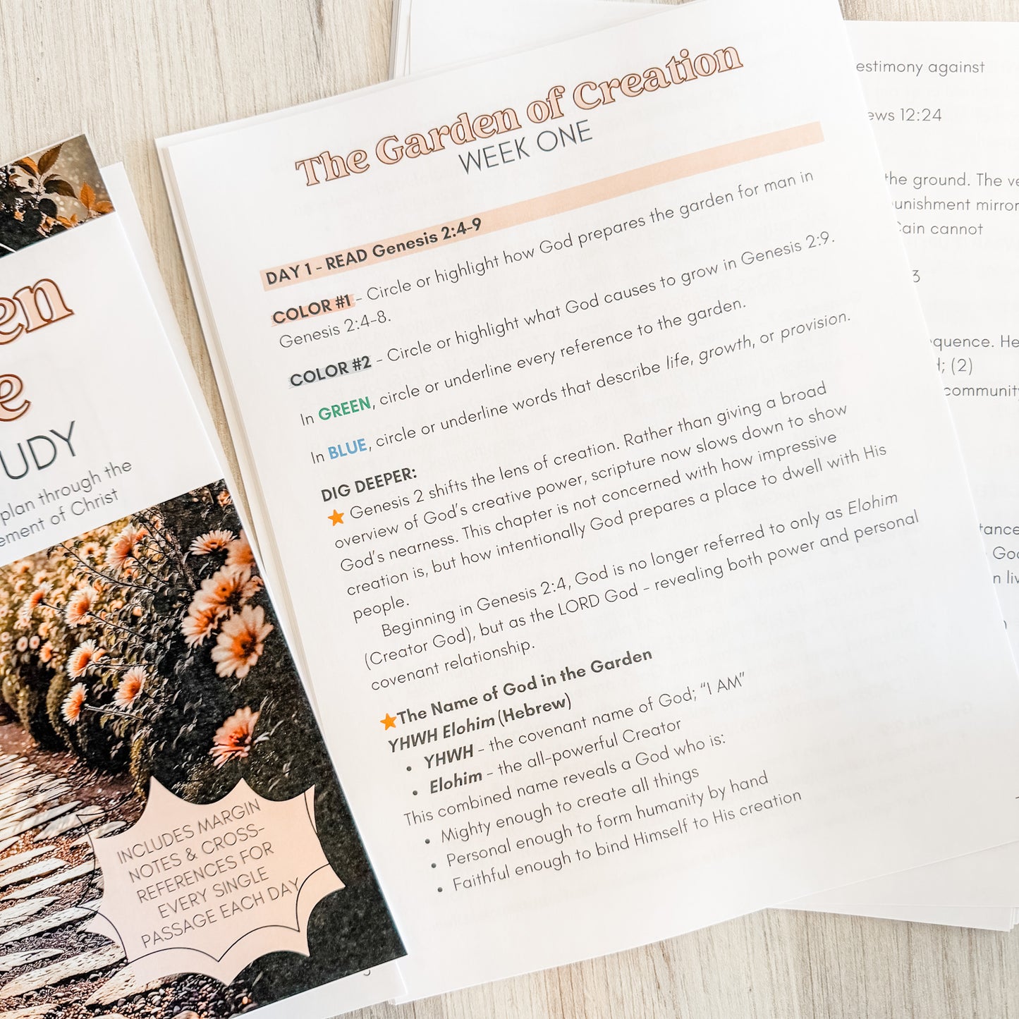 From Garden to Throne Guided Bible Study