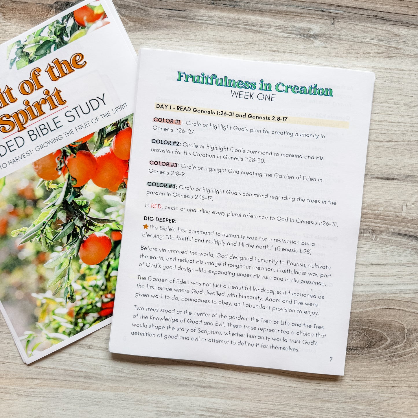 Fruit of the Spirit Guided Bible Study