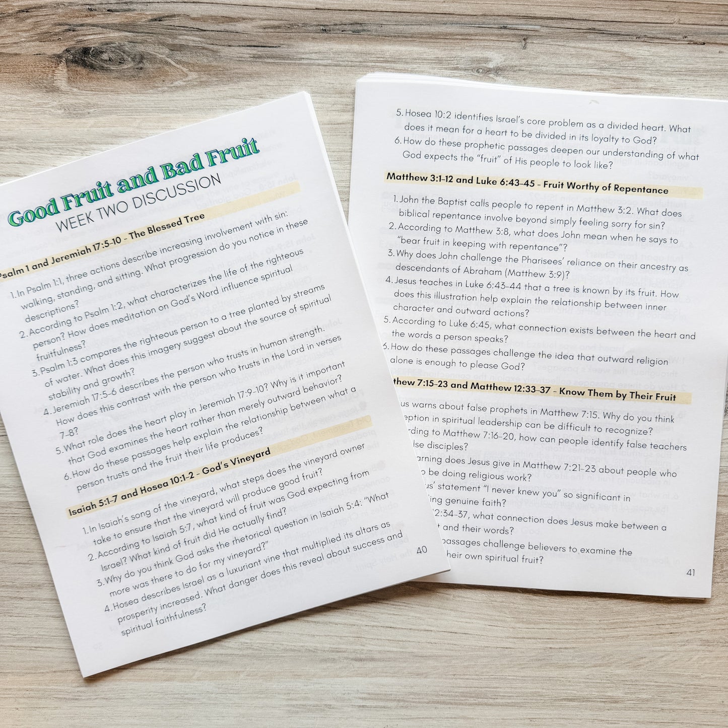Fruit of the Spirit Guided Bible Study