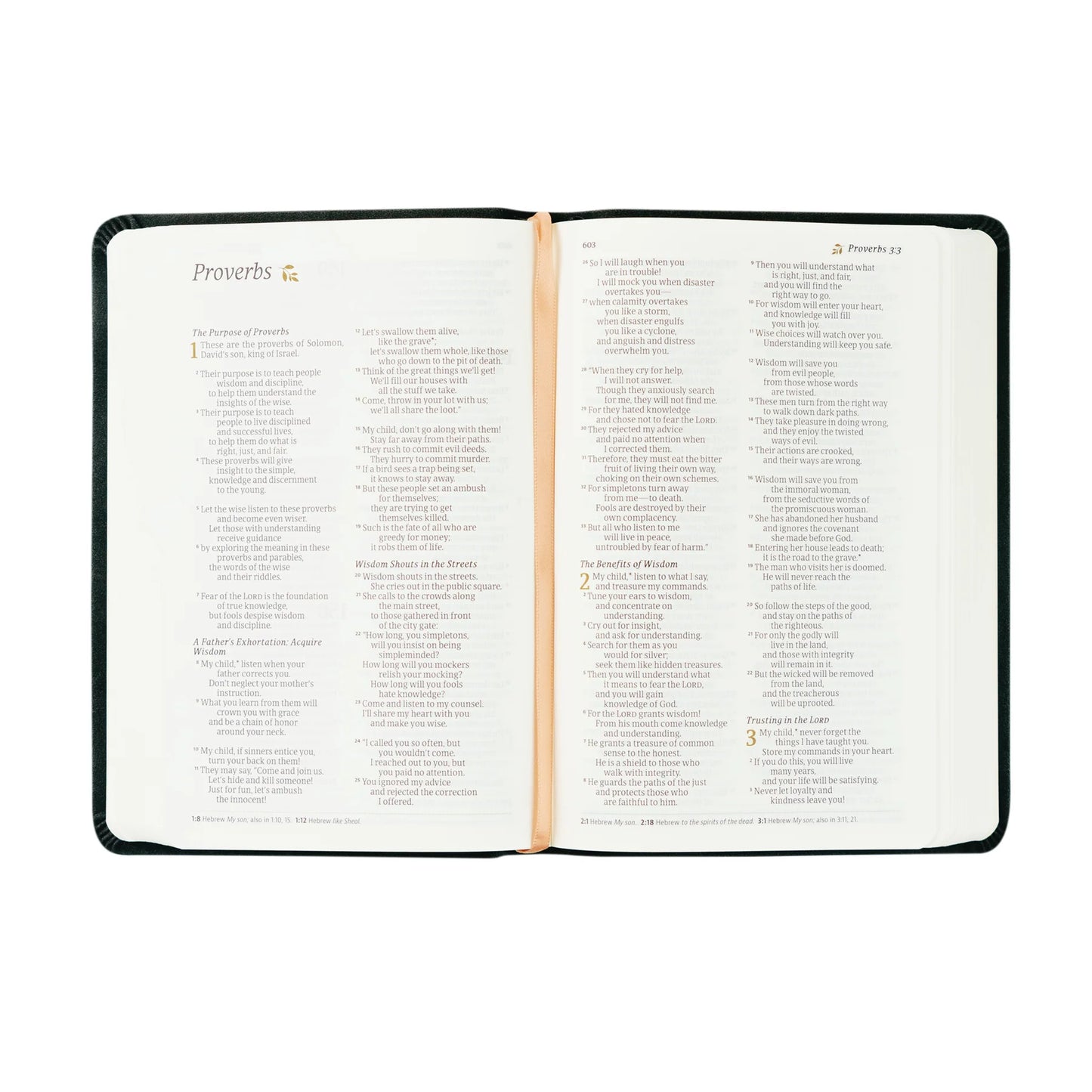 Hosanna Revival NLT Compact Bible: Jerusalem Theme
