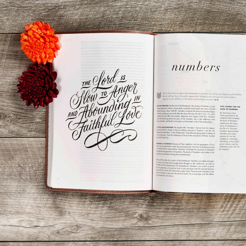 She Reads Truth, Blush