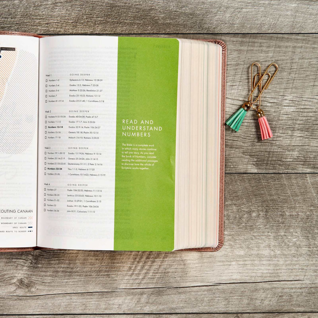 She Reads Truth, Blush