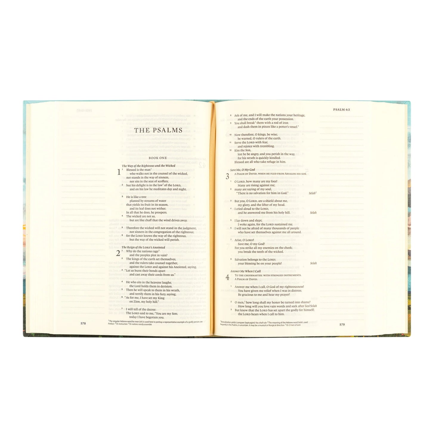 Hosanna Revival ESV Journaling Bible: Santa Lucia Theme