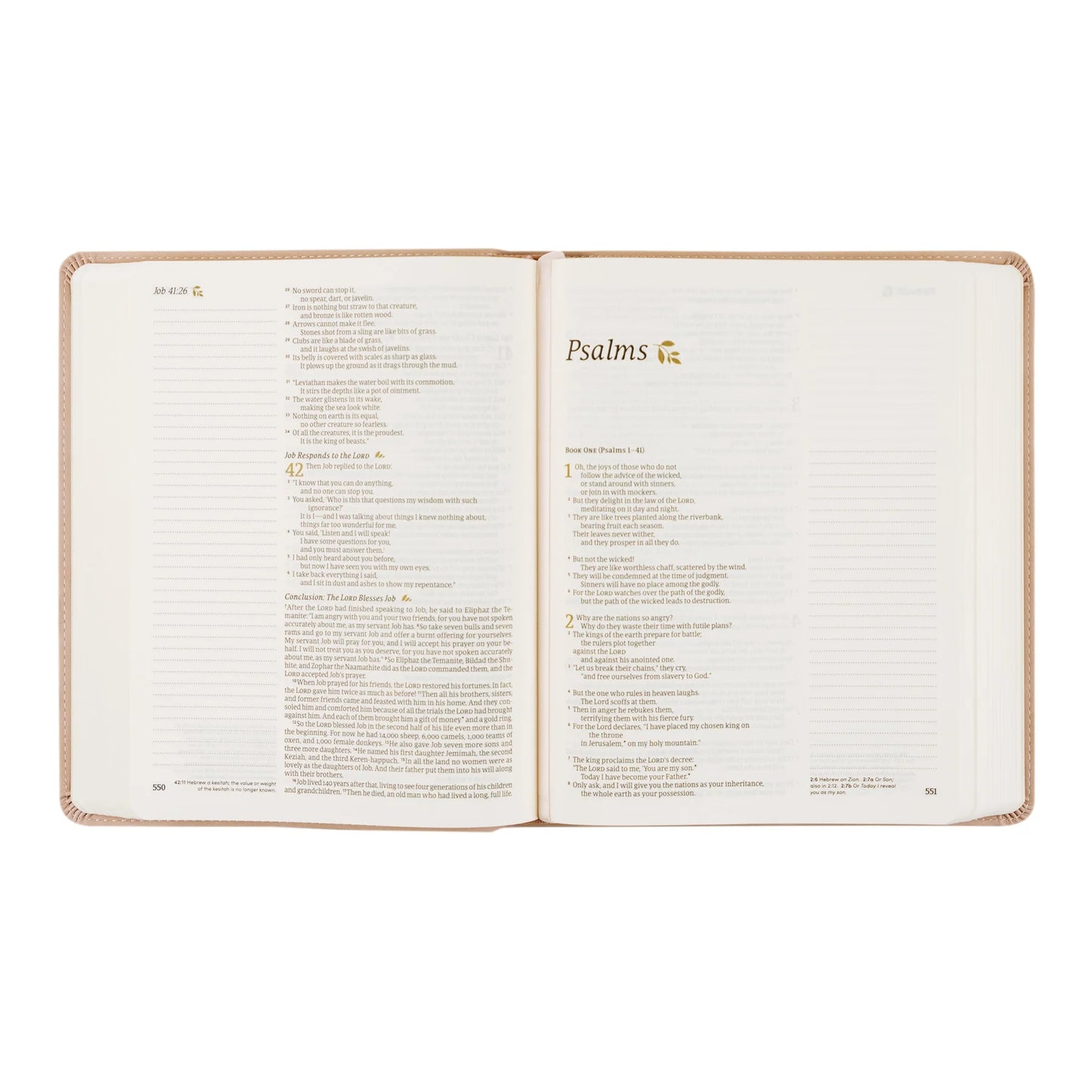 Hosanna Revival NLT Notetaking Bible: Shiloh Theme