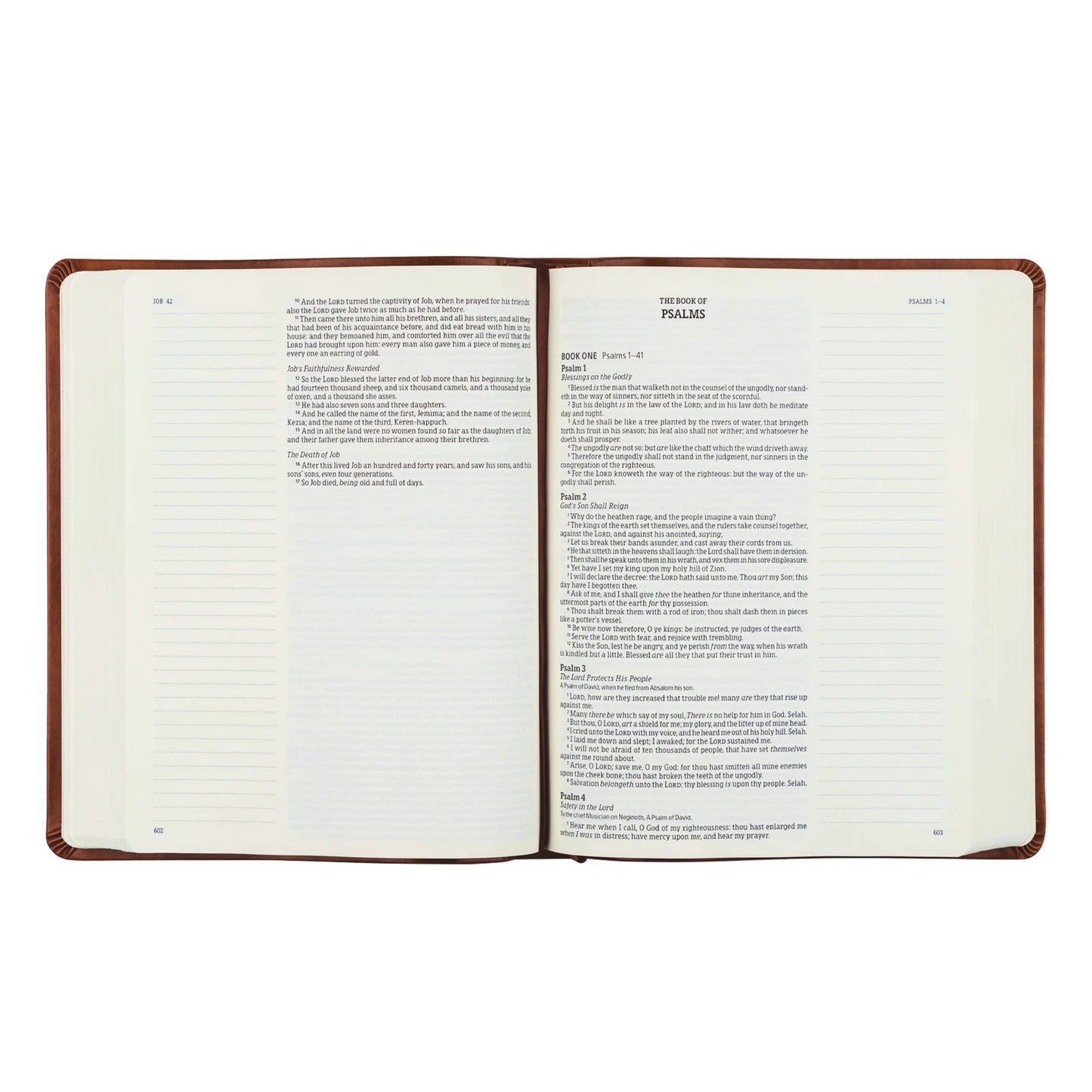 Hosanna Revival KJV Large Print Notetaking Bible: Vienna Theme