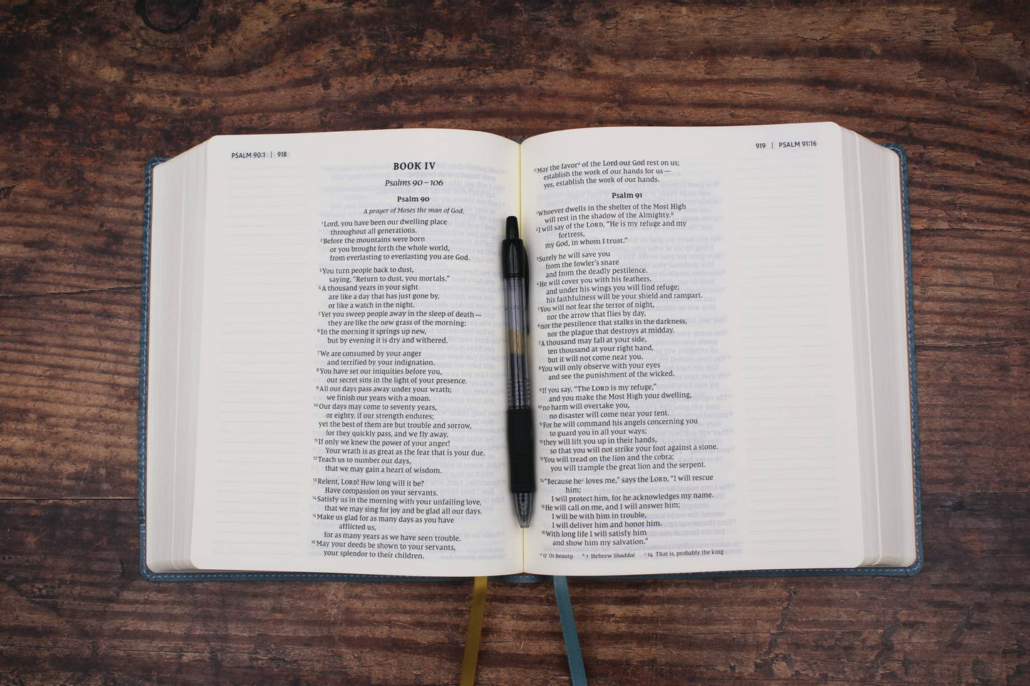 NIV Journal The Word Bible Large Print Leathersoft Teal
