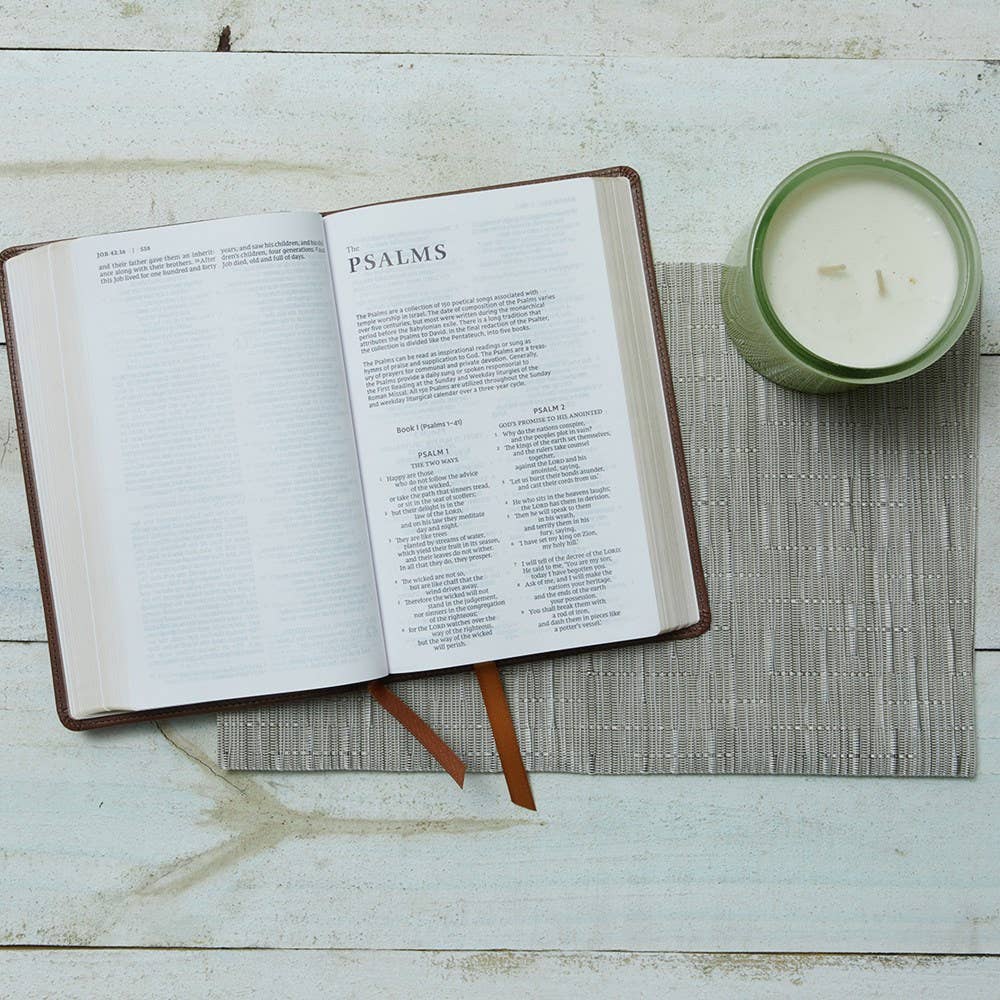 NRSVCE Sacraments of Initiation Catholic Bible, Brown Leather