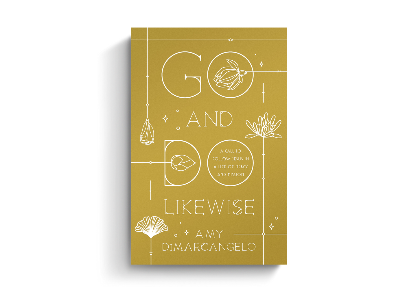 Go and Do Likewise: A Call to Follow Jesus in a Life of Mercy and Mission