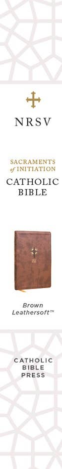 NRSVCE Sacraments of Initiation Catholic Bible, Brown Leather