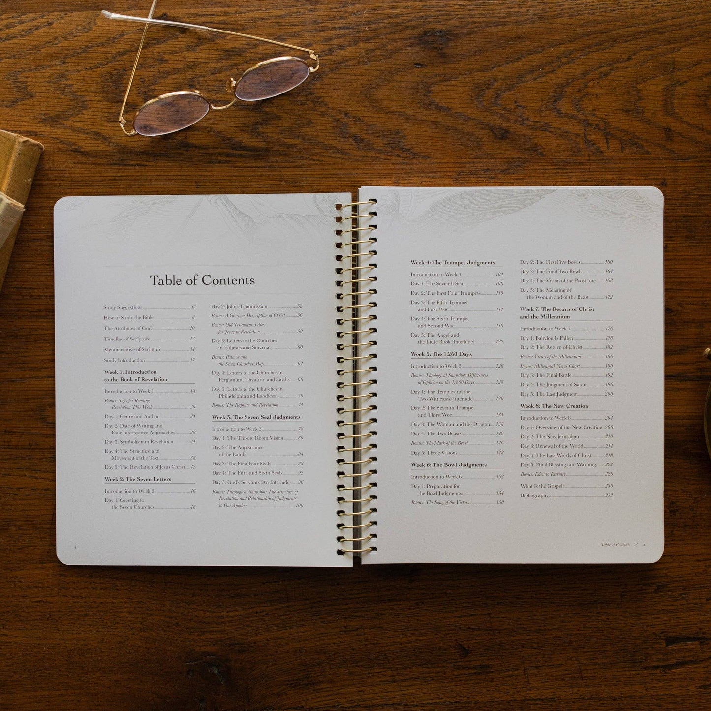 Revelation: The End of Time and the Eternal King