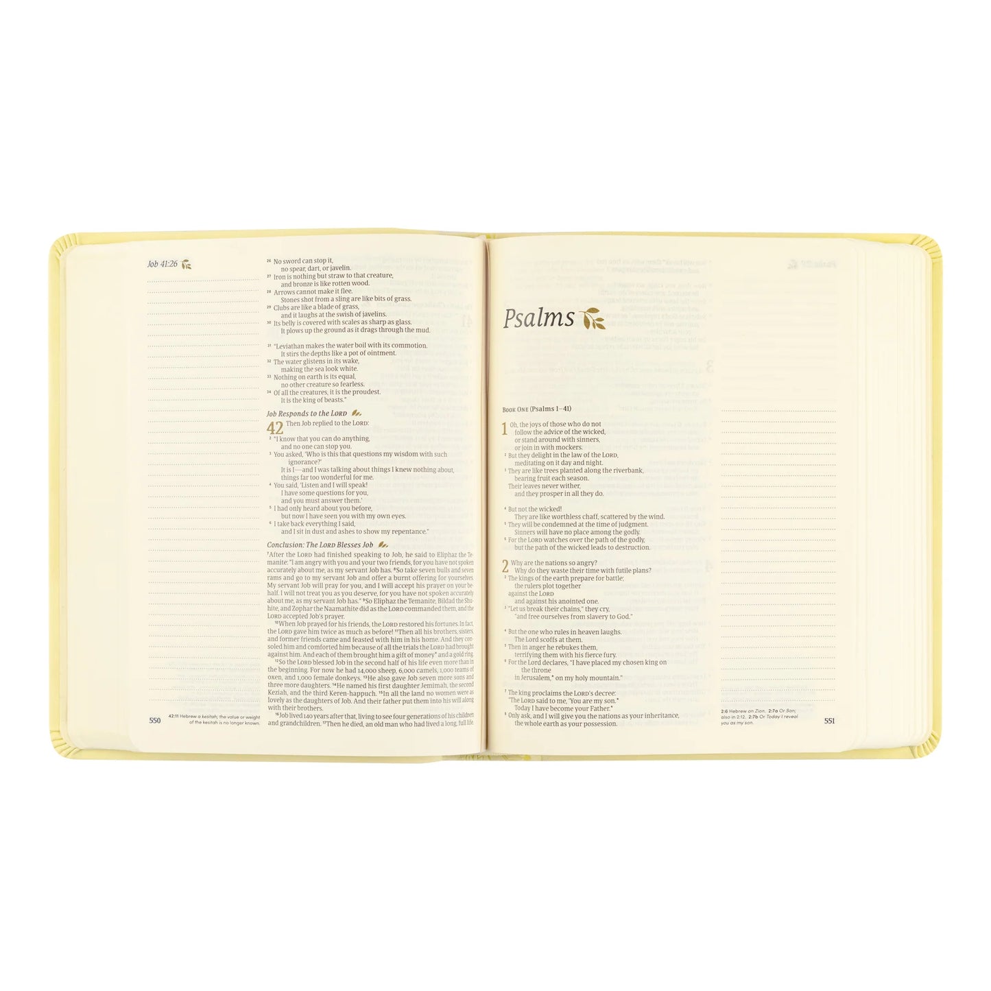 Hosanna Revival NLT Notetaking Bible: Belfast Theme