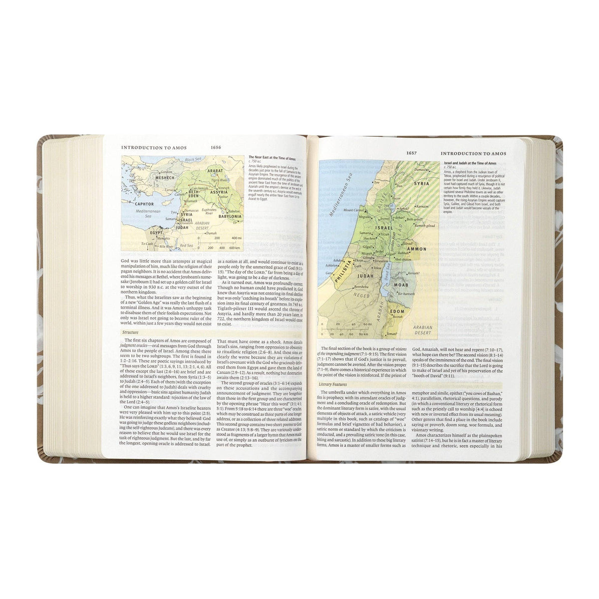 ESV Study Bible: Manila Theme