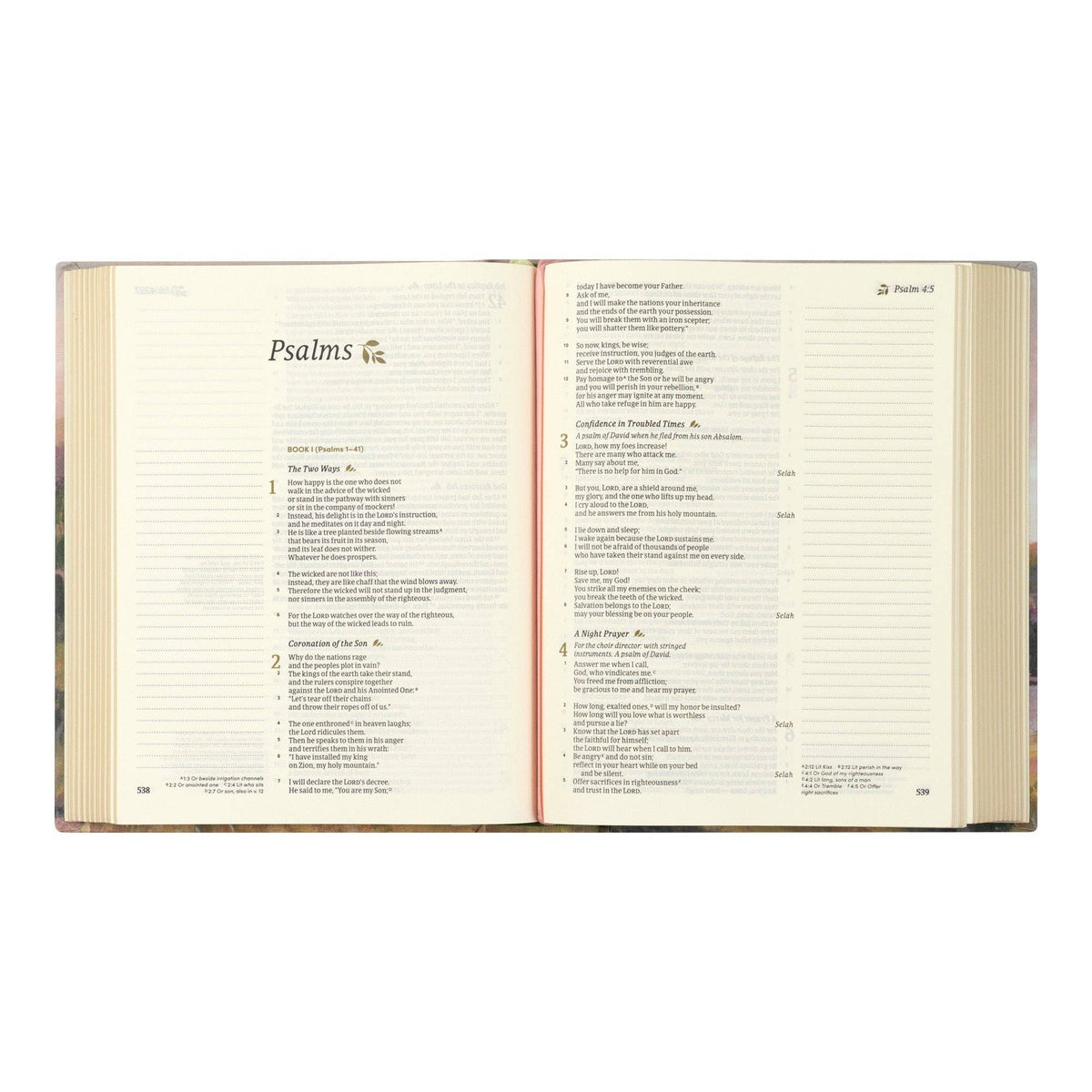 CSB Notetaking Bible: Faroe Theme