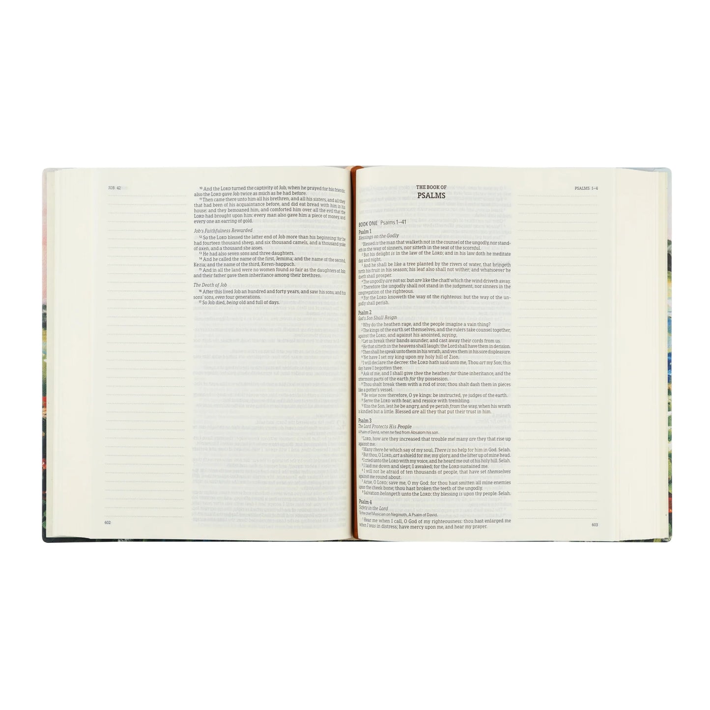 Hosanna Revival KJV Large Print Notetaking Bible: Coram Theme