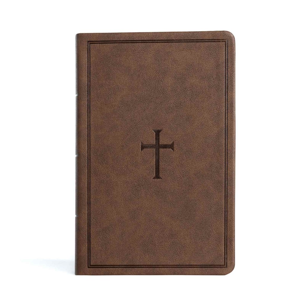 CSB Large Print Personal Reference, Brown