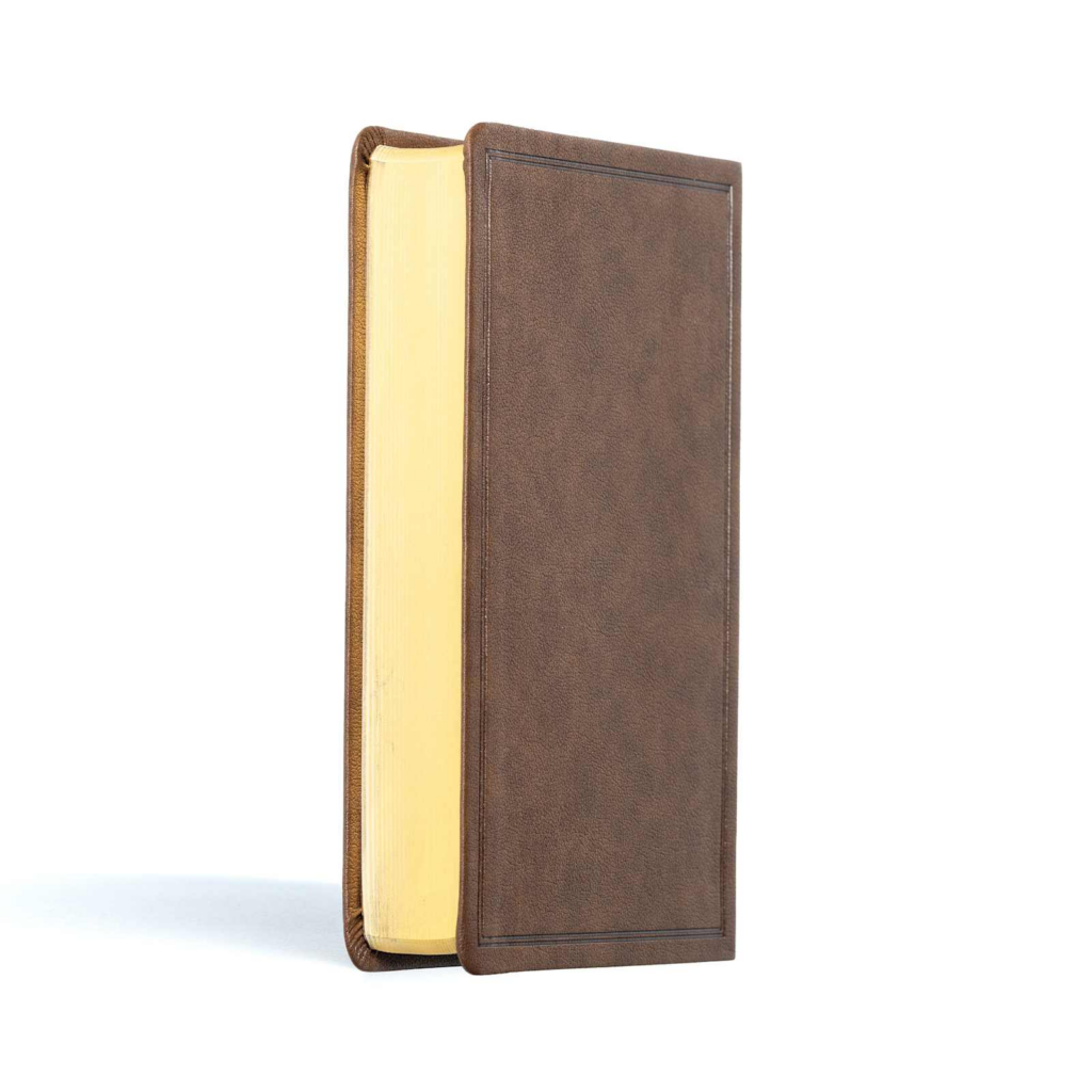 CSB Large Print Personal Reference, Brown