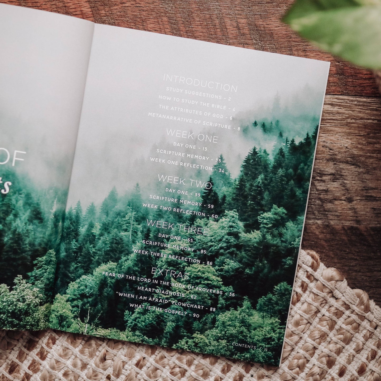 When Fear Meets Faith Men's Bible Study