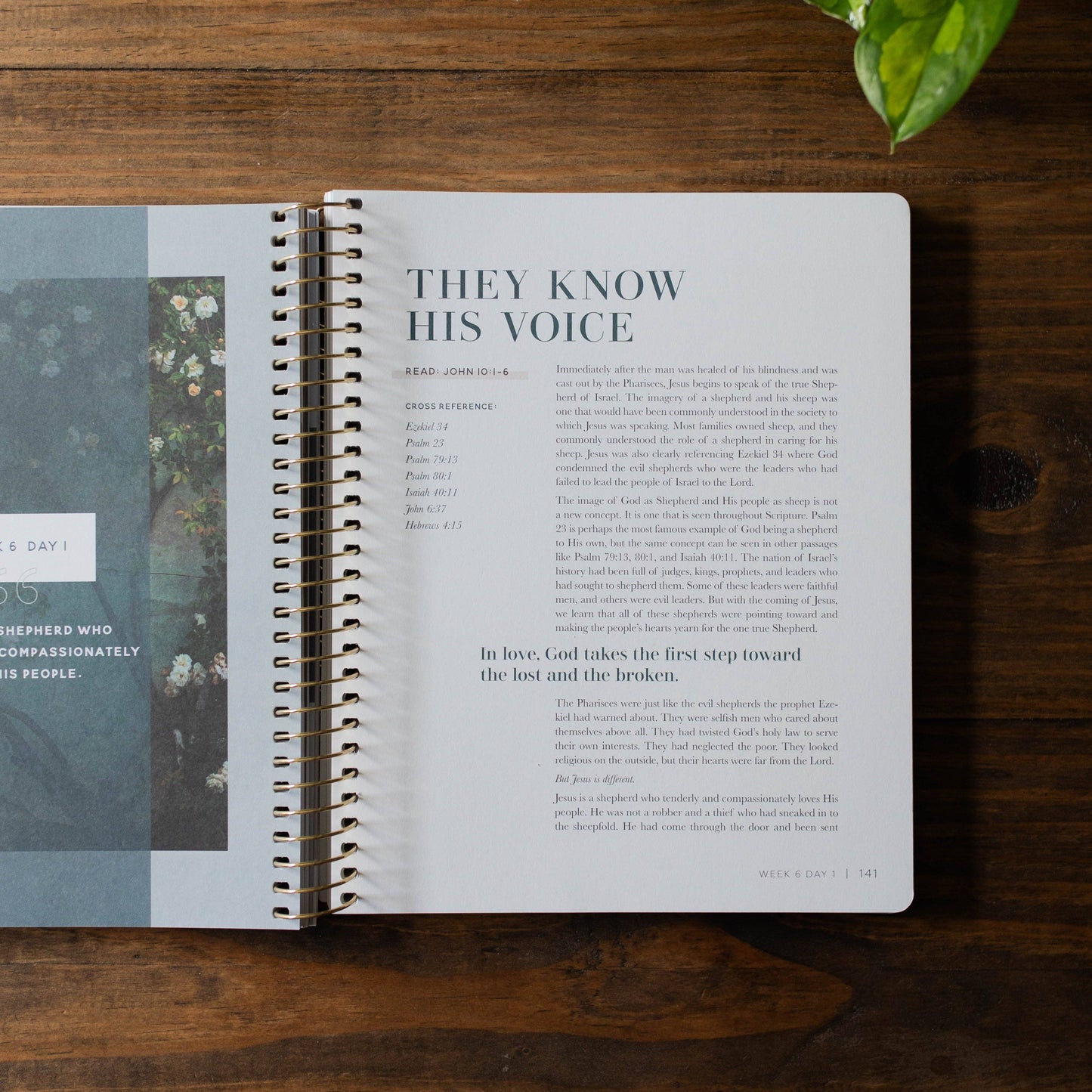 Come and See | An Invitation to Know and Trust Jesus More than Ever Before