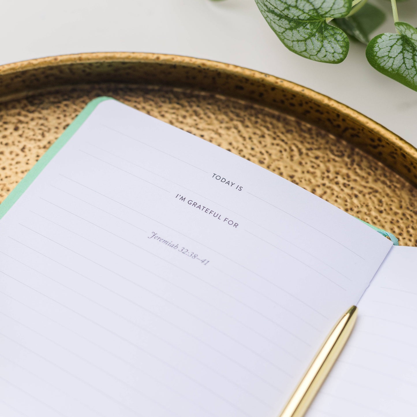Write The Word® Journal | Renewal