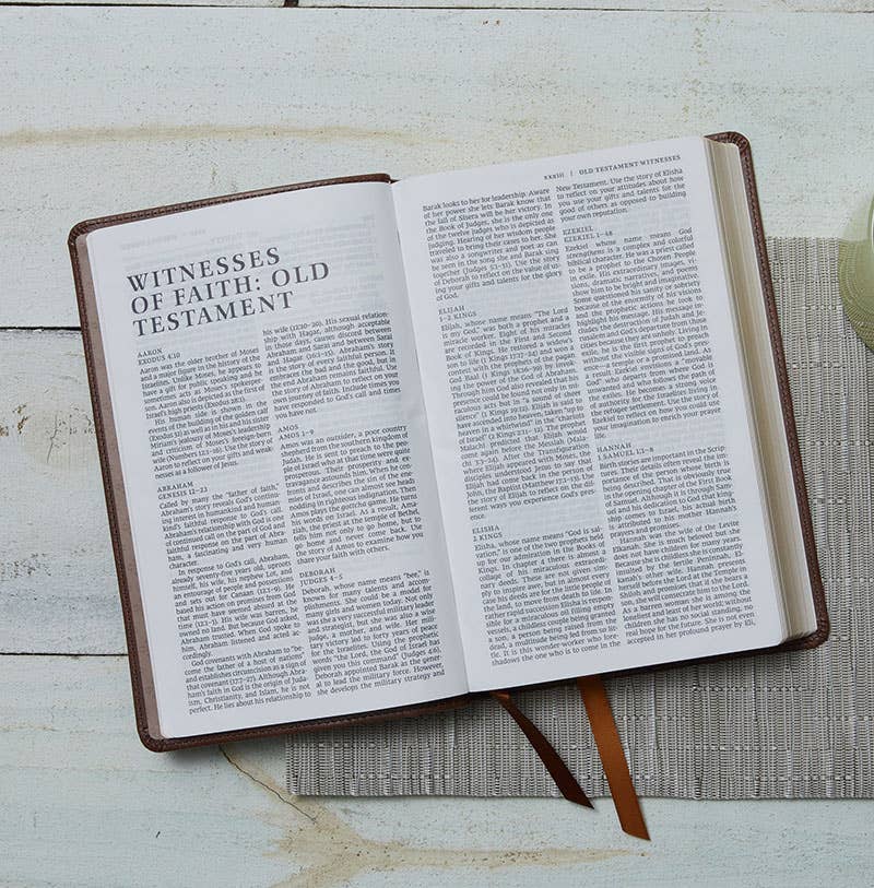 NRSV Catholic Edition Gift Bible, Teal Leathersoft