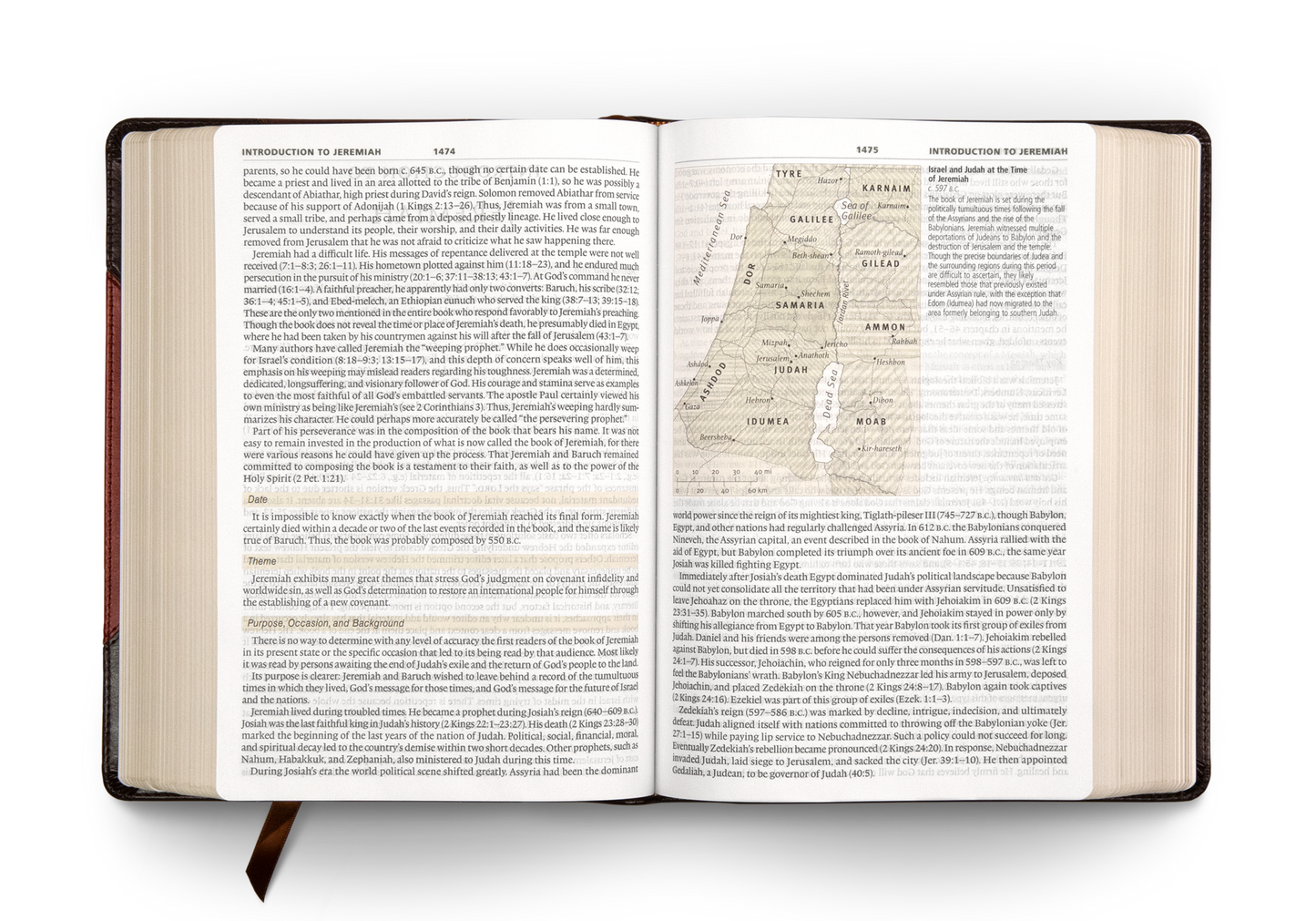 ESV Study Bible, Large Print, Trutone, Brown/Cordovan