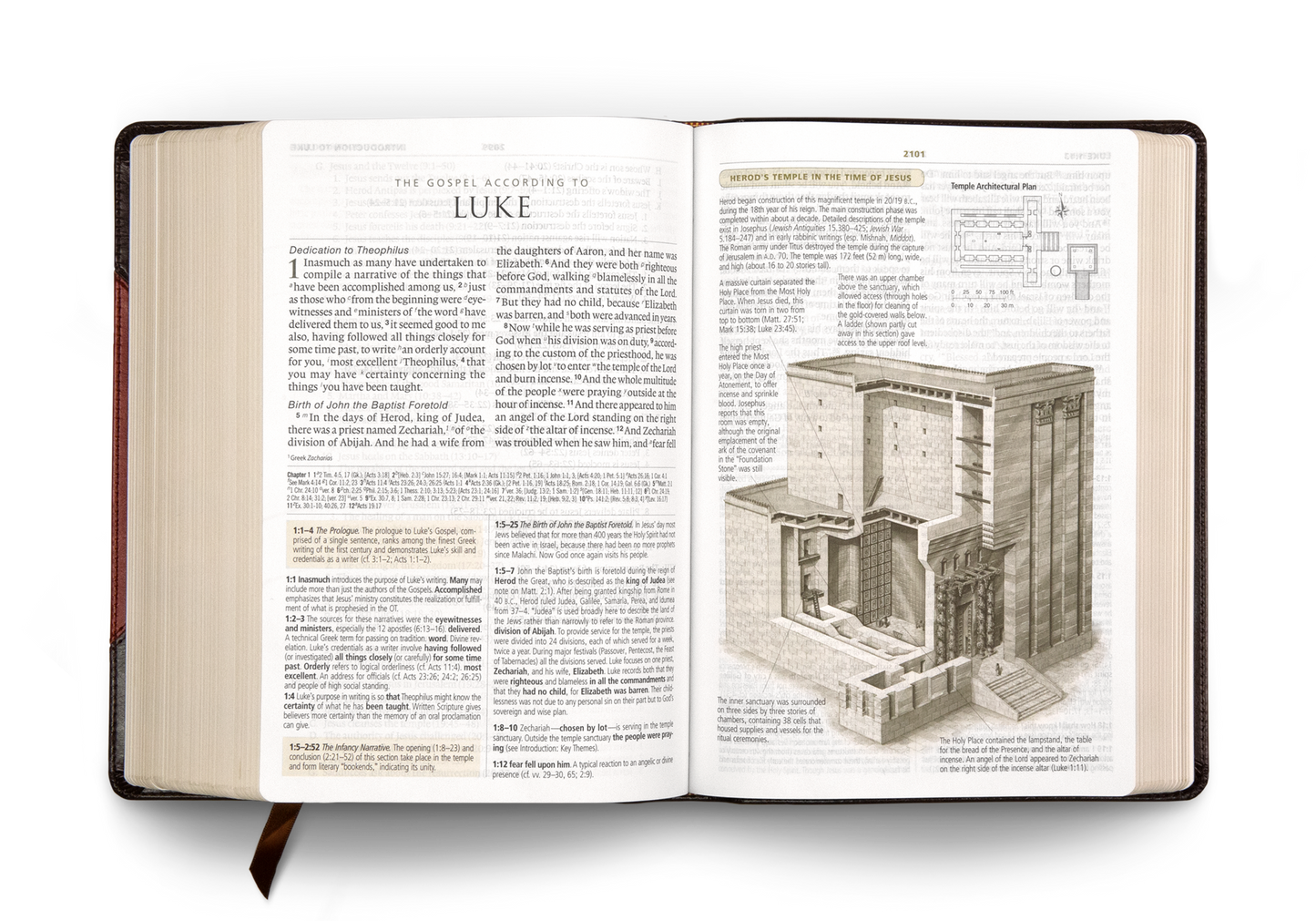 ESV Study Bible, Large Print, Trutone, Brown/Cordovan