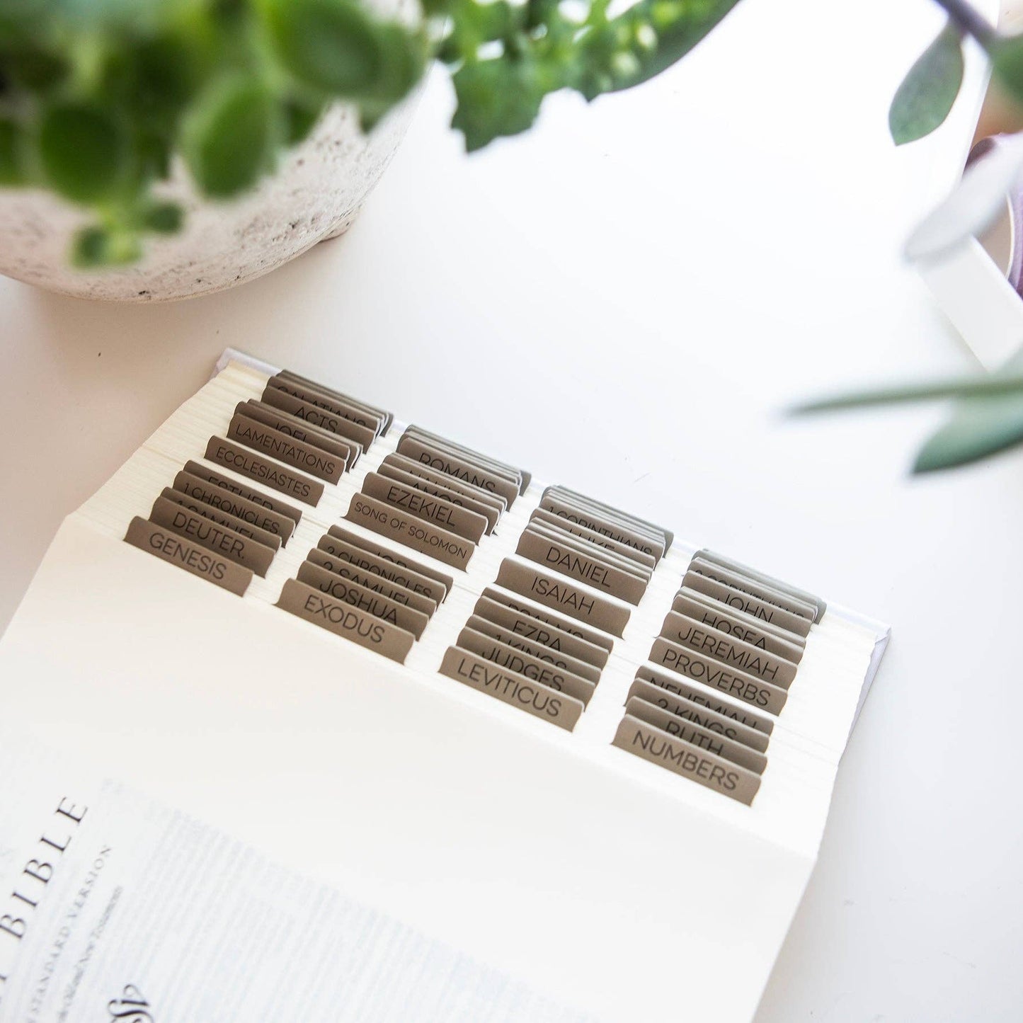 Neutral Tan Bible Tabs