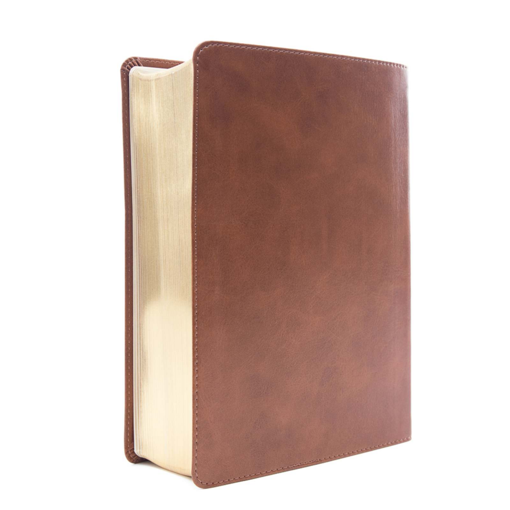 CSB He Reads Truth Bible, Saddle Leathertouch