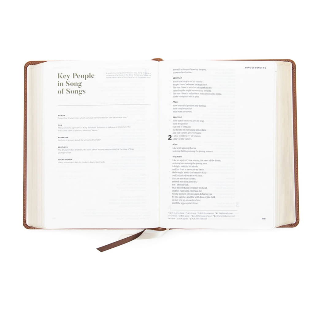 CSB He Reads Truth Bible, Saddle Leathertouch